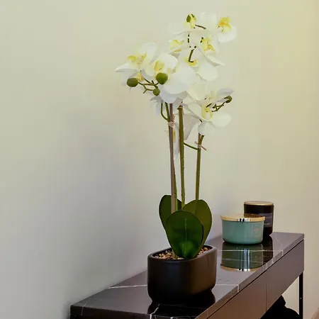 Moderne Et Chic T3, A Deux Pas De La Croisette *